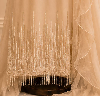 Nude Beige Embroidered Chiffon Maxi